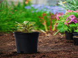 Black Nursery Pots 3 Gallon, Thick Planters with Drainage Holes for Gardening, Flowers, Vegetables V1366-AZ2-W-16509