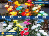 Solar Garden Lights - Upgraded Outdoor Light, 7 Color Changing Rose Lights for Yard,Garden V1366-AZ2-W-02037