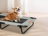 Pawz Pet Elevated Bed Dog Raised Trampoline Foldable Large M Size PT1279-M