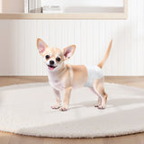 VEVOR Disposable Dog Diapers Super Absorbent Female Dog Diaper XS Size 144 Count V952-CWNBZNKMG144W0DY9001V0