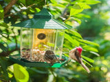 Bird Feeder with Camera Hd 1080P Camera Wifi Remotely Connects to Mobile Phone to See Bird Outdoor V1192-AZ-W-29230