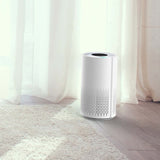 Air Purifier and Cleaner with HEPA Filter, Sleep Mode and Timer V196-AP67