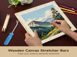 20PCS Wooden Canvas Stretcher Bars with Tacks Remover, 100PCS Thumb Tacks, Storage Box and No-Trace V1192-AZ-W-18412