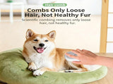 White Grey Pet Spray Grooming Comb 2pcs, Anti Flying Cat Hair Massager Brush V1221-XM-LB419-GM30