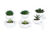 3pcs Simulated Succulent Pot Ceramic Creative Realistic Artificial Succulent Pot for Desktop V1294-YM0901-3115240022411