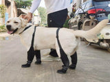 Dog Suspender, Tall Dog Anti-Slip & Fall Waterproof Shoes Leggings, Adjustable Suspender V1366-AZ2-W-01810