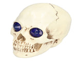 Skull Ornaments Vivid Lightweight Easily Clean Add Horror Ambience Halloween Props for Party Haunted V1294-YM0714-3115210185211