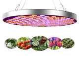 50W Indoor Plants LED Growing Light Full Spectrum Round Plant Grow Lamp V1294-YM0901-ZM01984-04