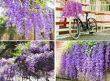 14PCS Ceiling Artificial Wisteria Flower Six Leaf Purple Blue Fake Vines Decoration for Wedding Home V1294-YM0512-3115220121711