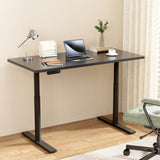 Artiss Standing Desk Motorised Electric Dual Motor Black 120CM HASD-B-M10-BKDF-BKDB-120