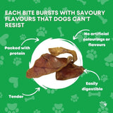 50x Dog Treat Large Pig Ears Whole - Dehydrated Australian Healthy Puppy Chew V238-SUPDZ-40299542249552