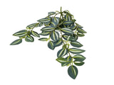 Artificial Hanging / Draping Tradescantia Zebrina 42cm V637-DP92781