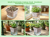 12Pcs Self Watering Nursery Pot, Self Watering Base with Large Water Reservoir, for Indoor Succulent V1369-AZ3-W-12595