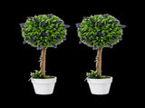 Lambu Artificial Plants Faux Lavender Topiary Set of 2 for Front Door Green UM1292-2PC-AU