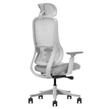Lifespan Fitness DM8 Ergonomic Office Desk Chair V572-LFOC-DM8G