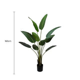 Grand Artificial Potted Travelers Palm 160cm V637-DP75265