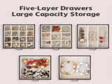 Women's Multi-functional Jewelry Box Built-in Mirror, Multi-layer Drawer Storage, Side Hooks to V1232-SSSNH005