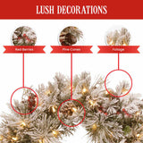 Christabelle 61cm Snowy Christmas Wreath Bedford with LED Lights Front Door Decoration Ornament 112_NATSB61W