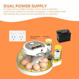 Automatic 8 / 18 Egg Incubator - Electrical Turning Chicken Quail Duck Hatching V238-SUPDZ-40950300442704