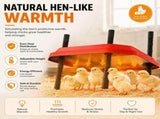 CARLA HOME Chick Brooder Heating Plate - Adjustable Height - Red - Chicken Heater V178-36540