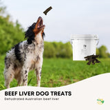 1Kg Dog Treat Beef Liver Pieces Bucket - Dehydrated Australian Healthy Puppy Chew V238-SUPDZ-40318352687184