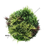 Slimline Artificial Green Wall Disc Art 80cm Grassy Fern UV Resistant V637-DP9855
