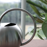 Long Nozzle Watering Can 1000ml Stainless Steel Metal European Plant Pot Sprinkler with Handle for V1369-AZ3-W-01423
