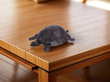 Cast Iron Turtle Key Safe Hidden Compartment Box for Outdoor Garden Entryway V1370-AZ4-08855