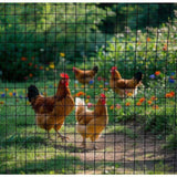 30m Black Chicken Wire Mesh Roll Heavy Duty Aviary Netting & Garden Fencing for Poultry Enclosures V63-952941