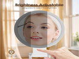 Mirror Lighted Mirror Makeup Mirror 10x Magnifying Mirror Double-Sided Lighted Makeup Mirror V1188-MS-313-0593