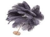 Ostrich Feather Table Lamp Rechargeable Modern Romantic Decoration Lamp Bedroom Bedside Lamp for V1294-YM0703-3119230059315