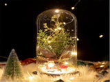 Glass Dome Christmas Plants Christmas Decorations Glass Dome Christmas Tree Branch with Lights V1263-JX-1771