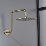 Shower Head Riser Pipe,Goose Neck Shower Arm 13 Inch Shower Head Extension Arm with Flange,Standard V1258-DP02-C-2246