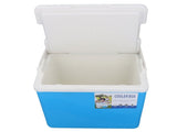Cooler Box 10L EPS Highly Efficient with Handle Insulated Cooler for Camping Picnic Fishing V1294-YM0901-3111240172111