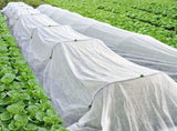 Frost Protection Plant Cover Winter Cover Winter Protection Plant Cover Winter Cover Durable V1188-MS101-02016-1