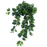Bright Mixed Philodendron Garland Bush 100cm V637-1014515
