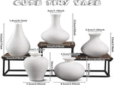 Ceramic Set of 5 White Vases for Home Dcor V178-36932