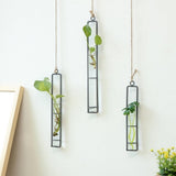 Set of 2 Glass Hanging with Iron Frame, Clear Indoor Plant , Decorative Wall-Mounted Pots for Home V1370-AZ4-11631