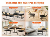 Rattan Chairs, Set of 4, Mid Century Modern Dining Chair, Upholstered Velvet Accent Chair with V952-TBYCYTERHS40ZKRPTV0