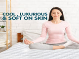 Laura Hill Cool Max Mattress Protector- Queen MTP-YTX-CM-QN