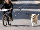 Bike Dog Leash with Shock-Absorbing Spring Bracket Hands-Free Cycling Dog Walker for Outdoor V1341-ZY-FE96E793-SILVER