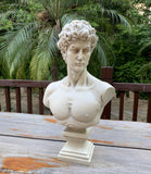 Angelo Bust Statue 26x43cm V637-E652010