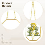 Pressed Flower Glass Frame Set, 2 Pack Metal Floating Picture Frames, Octagon Hanging Display with V1369-AZ3-W-08562