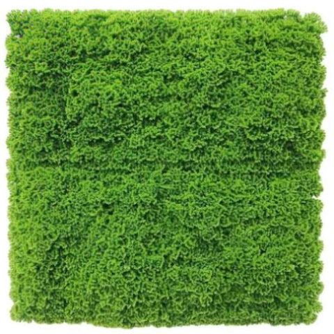 Fresh Natural Green Artificial Moss / Green Wall UV Resistant 1m x 1m V77-7890013