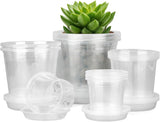 20-Pack Clear Plant Pots with Trays 4/5/6/7 Inch for Succulents Orchids Cuttings V1258-DP02-BOL-786