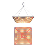 Plant Lamp LED Succulent Fill Light 50W Full Spectrum Plant Grow Light Quantum Plate V1294-YM0901-L6913UK-1