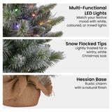 Christabelle 61cm Pre-Lit Snowy Stamford Spruce Battery-Operated Mini Christmas Tree Multi-Func 112_NATSS2