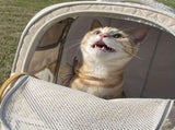 White cat backpack carrier, pet travel carrier, breathable cat backpack, stylish cat carrier, cat V1106-135-GRA-45887