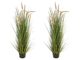 Artificial Grass Plant, 2 Pack 1499mm Horsetail Reed Grass in Pot, Premium PVC Faux Fake Greenery V952-DPKMWCLS59INN4HXO001V0