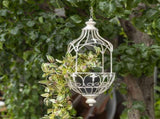 Martinique Classic Hanging Planter 20x62cm V637-74098PLN